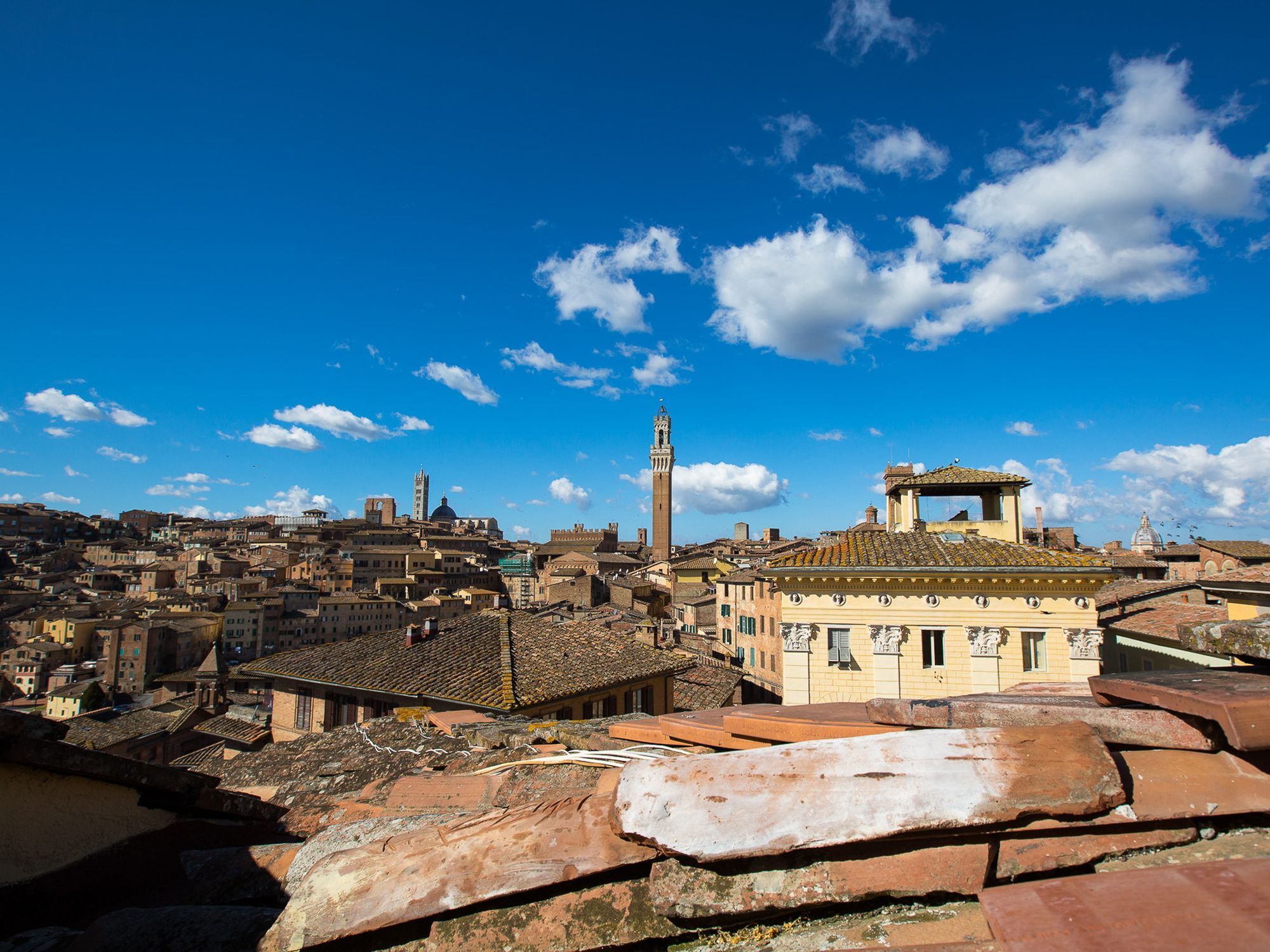 Appartamento Panoramico San Martino 12 Siena Dış mekan fotoğraf